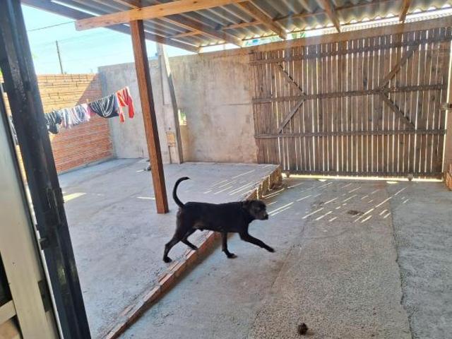 Casa venda em Gravataí