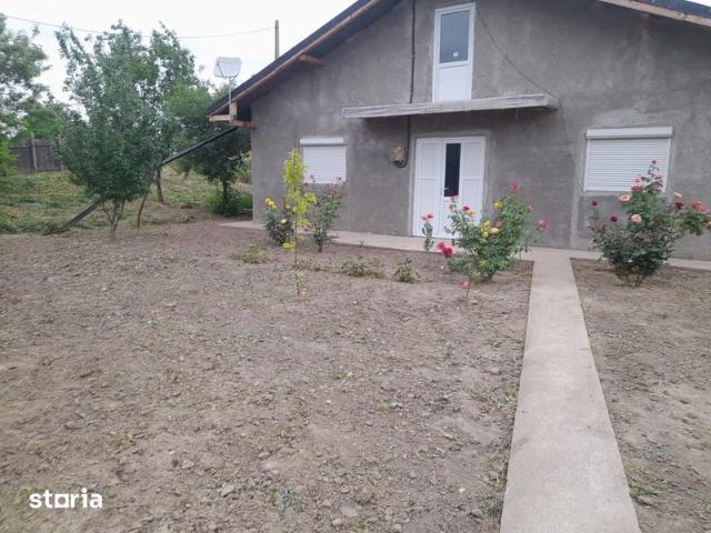 Casă închirieri în Falciu, Vaslui