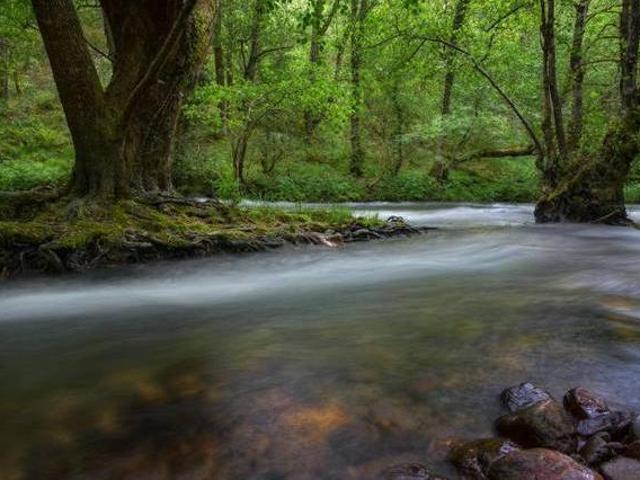 Casa en alquiler en Os Ancares, Galicia
