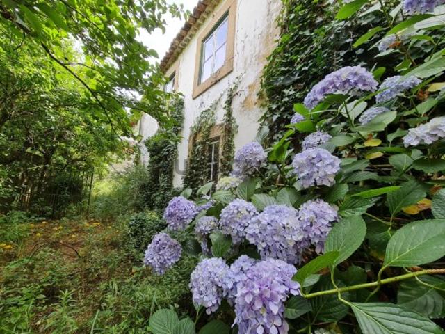 Casa venda em Castelo Branco, Idanha-a-nova