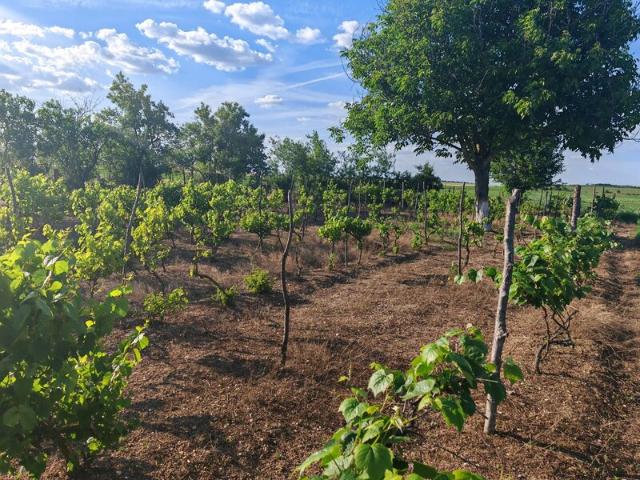 Casă vânzări în Podisor, Giurgiu