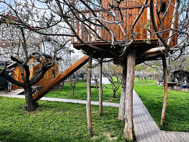 Casă vânzări în Buftea, București