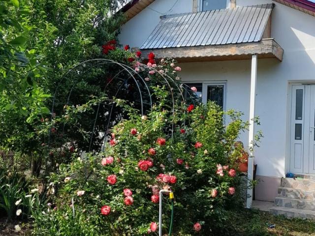 Casă vânzări în Buzau, Buzău