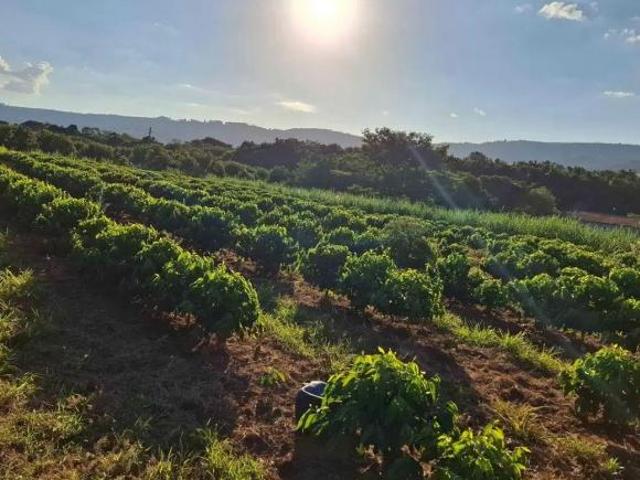 Sítio e chácara venda em Região Geográfica Imediata de São Sebastião do Paraíso, Monte Santo de Minas
