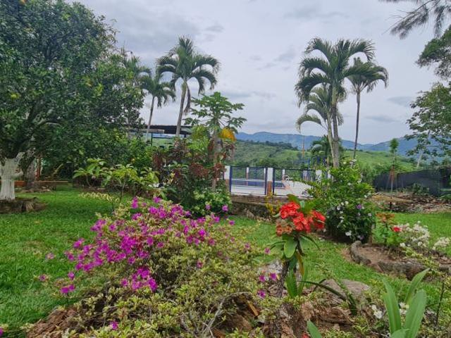 Casa Campestre En Arriendo En Chinacota En. A201865