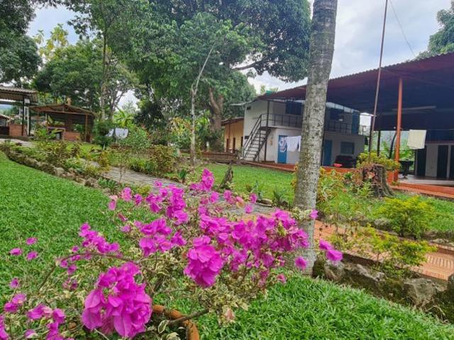 Casa Campestre En Arriendo En Chinacota En. A201865