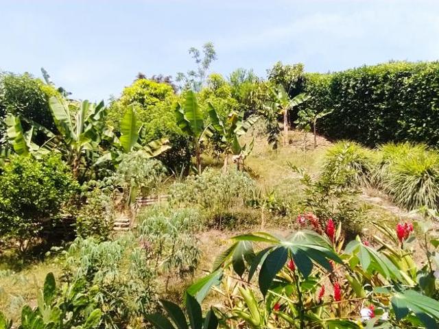 Casa Campestre En Arriendo En Guadalajara De Buga En. A173000