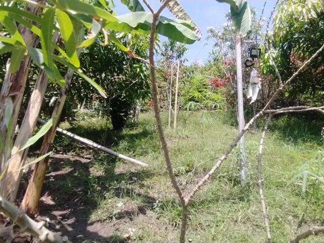Casa Campestre En Arriendo En Guadalajara De Buga En. A173000