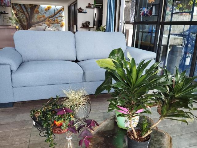 Casa Campestre En Arriendo En Medellin En Belen Altavista A119083