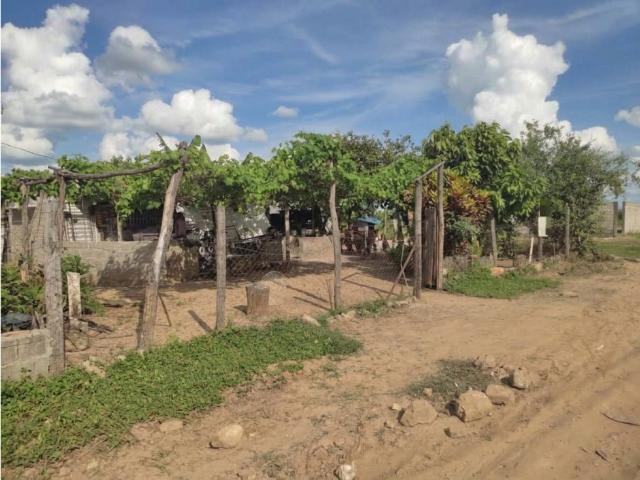 Casa en venta en El Corozal, Municipio Barinas