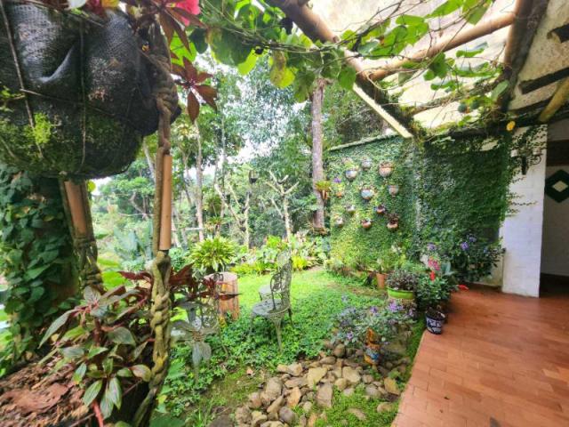 Casa Campestre En Venta En Cali En Dapa V251723