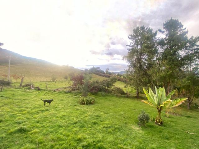 Casa Campestre En Venta En La Calera En Vereda San Jose V315573