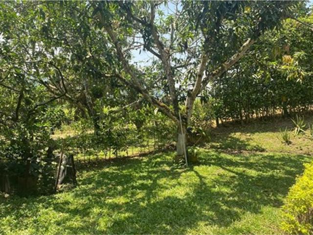 Casa Campestre En Venta En La Mesa En La Mesa V356739