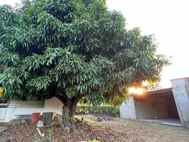 Casa Campestre En Venta En Los Patios En. V219254