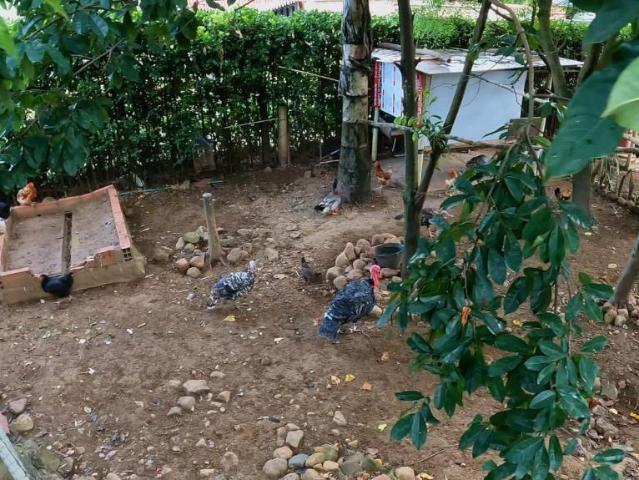 Casa Campestre En Venta En Los Patios En Vereda Corozal V219354