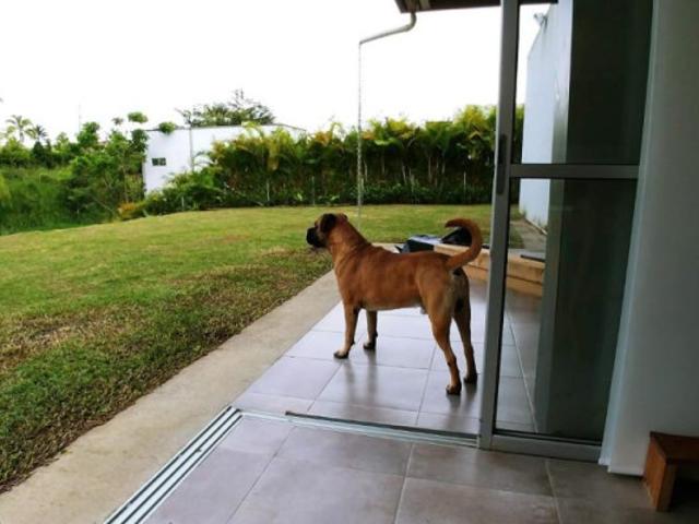 Casa Campestre En Venta En Pereira En Pueblito Cafetero V302946