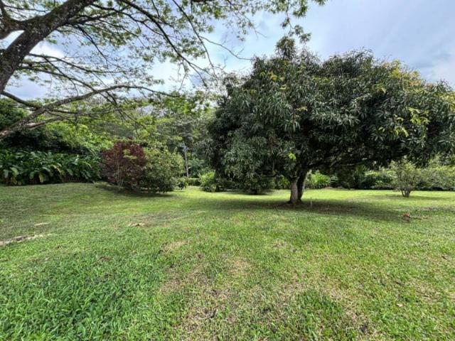 Casa Campestre En Venta En Pereira En San Jose De Las Villas V302027