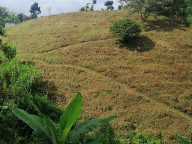 Casa Campestre En Venta En Pereira En. V95224