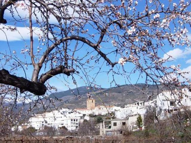 Casa en alquiler en Comarca de la Alpujarra Granadina, Andalucía