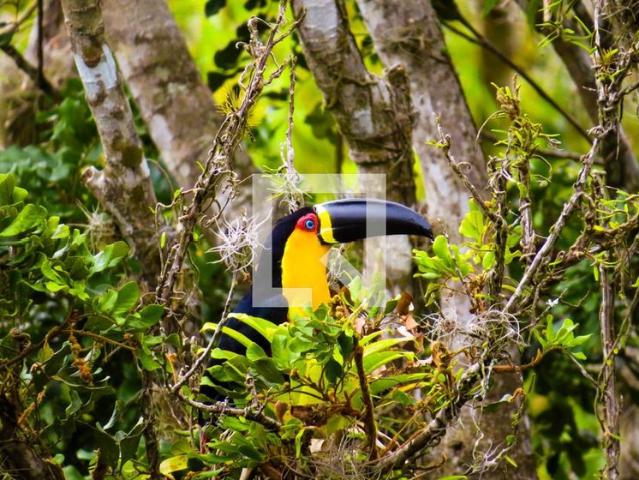 Casa aluguel em Região Geográfica Imediata de Florianópolis, Desterro
