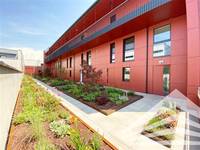 Wohnung mieten in Neue Heimat, Linz