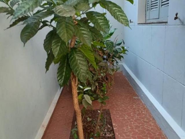 Casa venda em Região Imediata de Jaú, Bariri