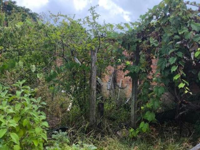 Casa venda em Região Geográfica Imediata de Camaquã, Tapes