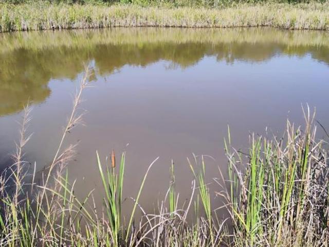 Sítio e chácara venda em Região Geográfica Imediata de Goiânia, Goiânia
