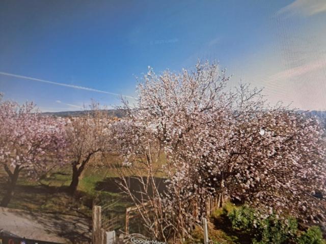 Chalet en venta en Fiñana, Andalucía