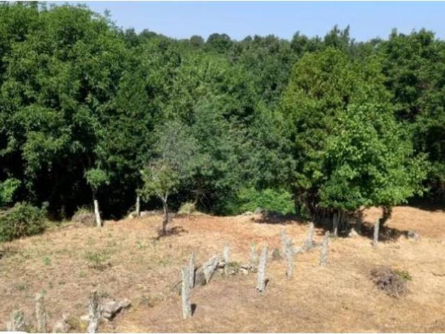 Villa en venta en A Bola