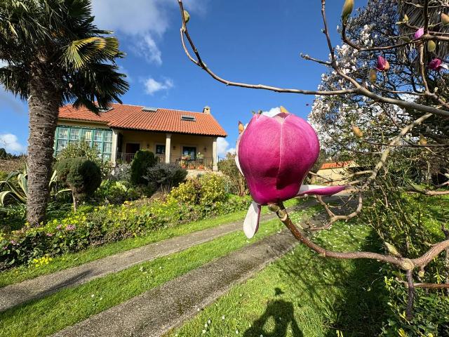 Chalet en venta en Castro, Ferrol