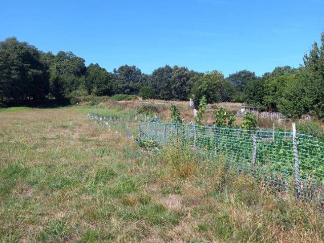 Chalet en venta en A Pobra De Trives, Galicia