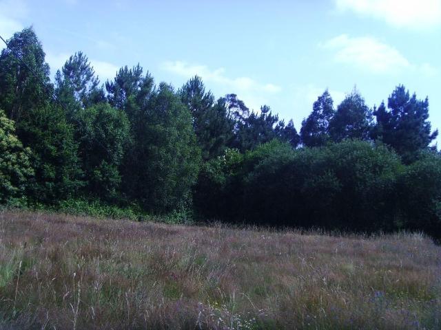 Chalet en venta en Abegondo, A Coruña