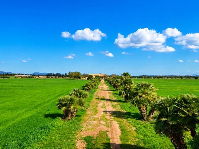 Chalet en venta en es Pontarró, Raiguer
