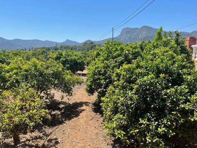 Villa en venta en Albalat Dels Tarongers