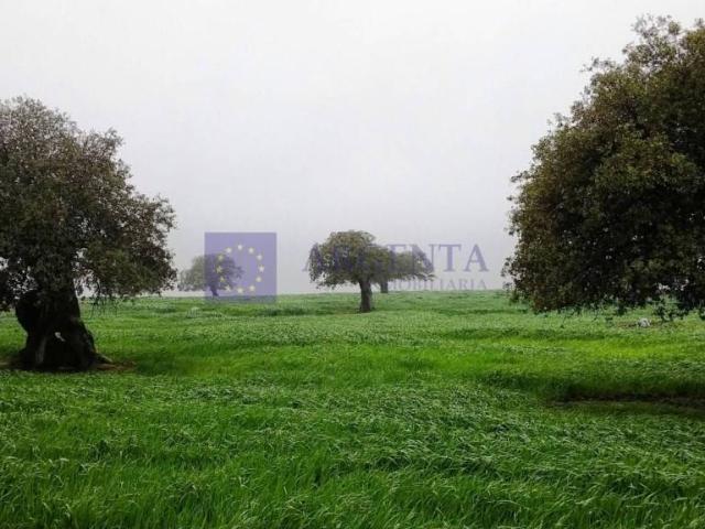 Chalet en venta en Alcuéscar, Extremadura