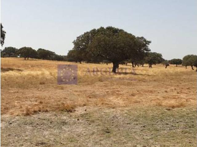 Chalet en venta en Alcuéscar, Cáceres