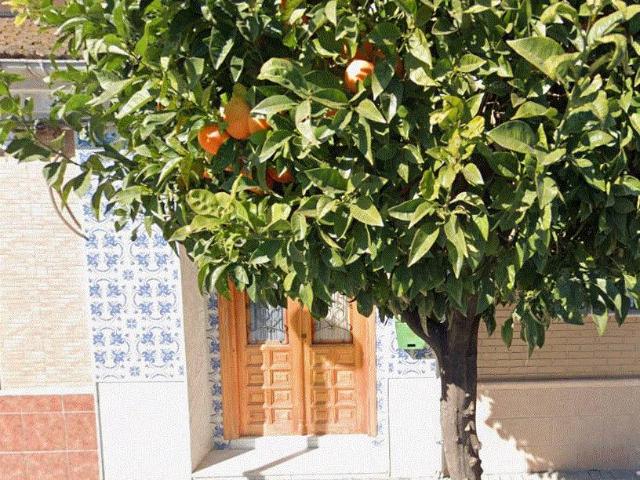 Chalet en venta en l'Horta Sud, Valencia
