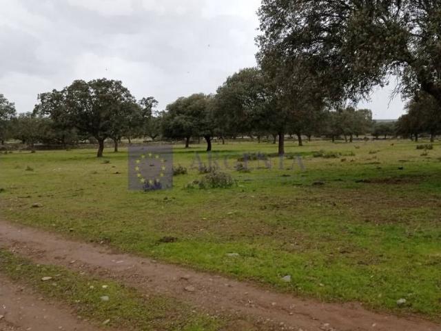 Chalet en venta en Aldeacentenera, Extremadura