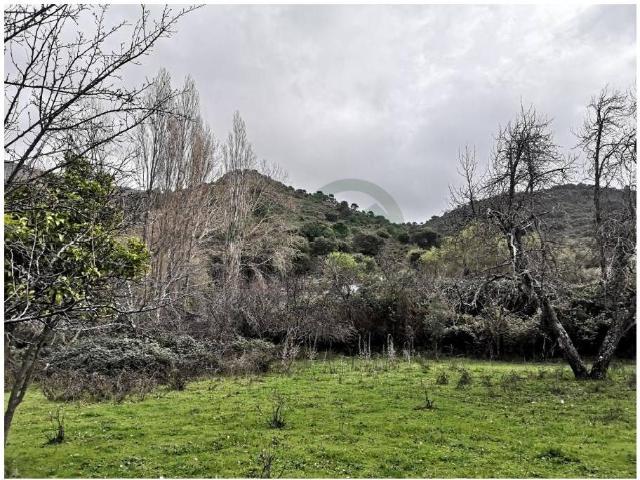 Chalet en venta en Serranía de Ronda, Andalucía