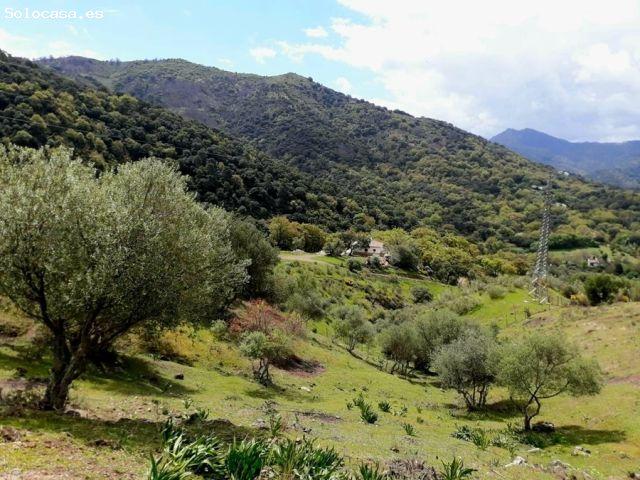 Casa en venta en Algatocín, Málaga