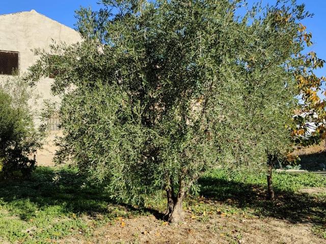 Villa en venta en Alguazas, Hoya y Cabezo