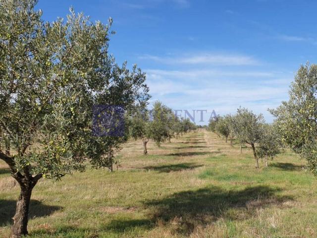 Chalet en venta en Aliseda, Extremadura