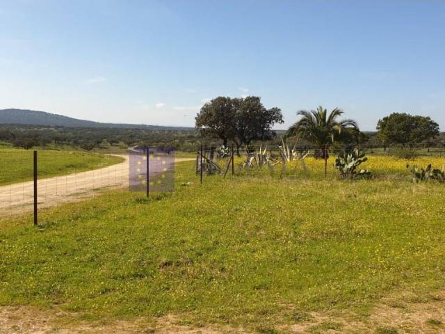 Chalet en venta en Aliseda, Extremadura