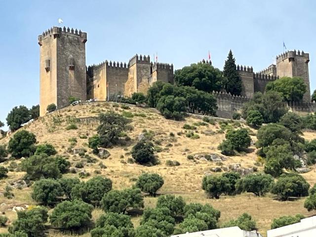 Chalet en venta en Almodóvar Del Río, Andalucía