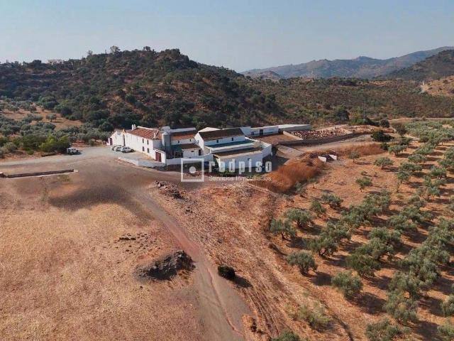 Chalet en venta en Almogía, Málaga