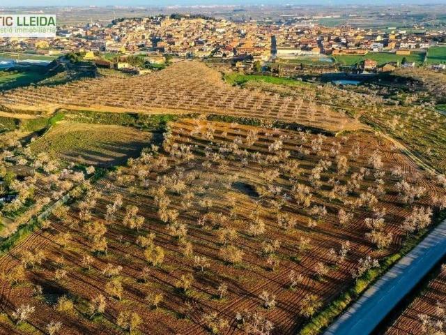 Chalet en venta en Garrigues, Catalunya