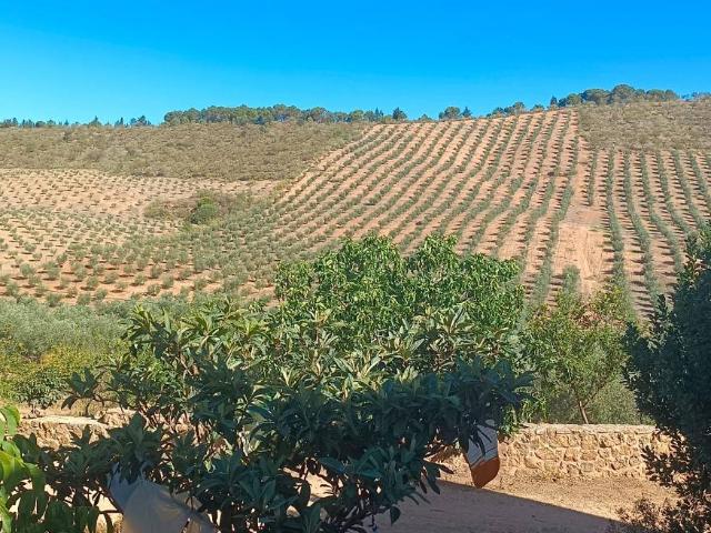 Chalet en venta en Nororma, Andalucía