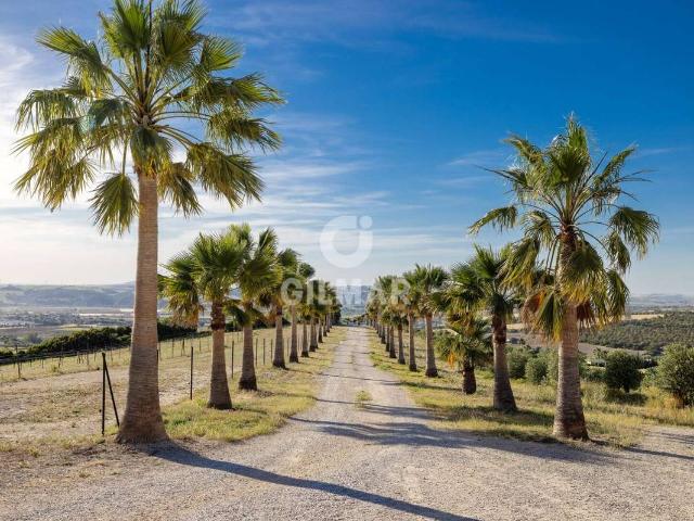 Chalet en venta en Arcos de la Frontera, Cádiz