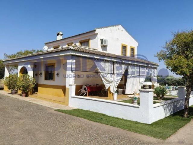 Chalet en venta en Argamasilla De Calatrava, Castilla-La Mancha